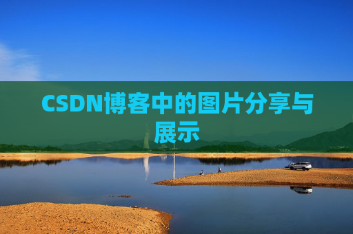 CSDN博客中的图片分享与展示